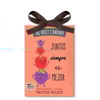 Ambientador Armario Frutos Rojos  1ud.-205418 Ambientador Armario Frutos Rojos  1ud.-205418 0